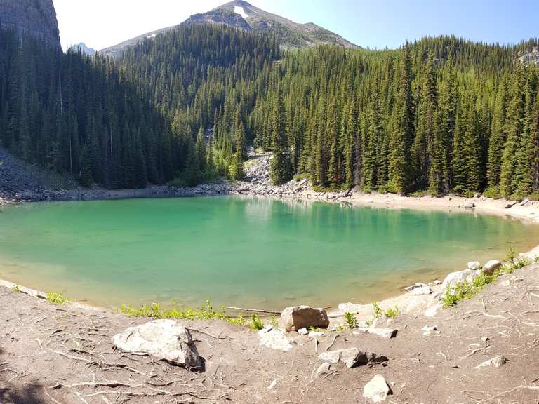 Mirror Lake Wanderungen und Rundwege komoot