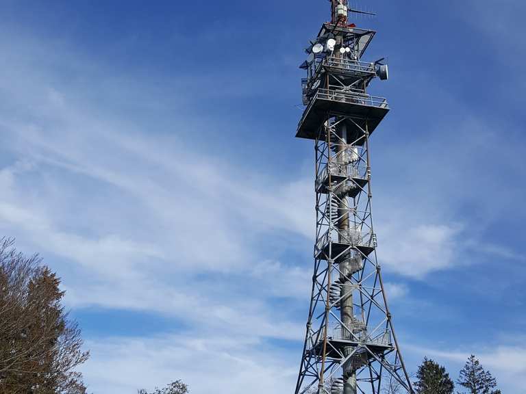 Bachtelturm Wanderungen und Rundwege komoot