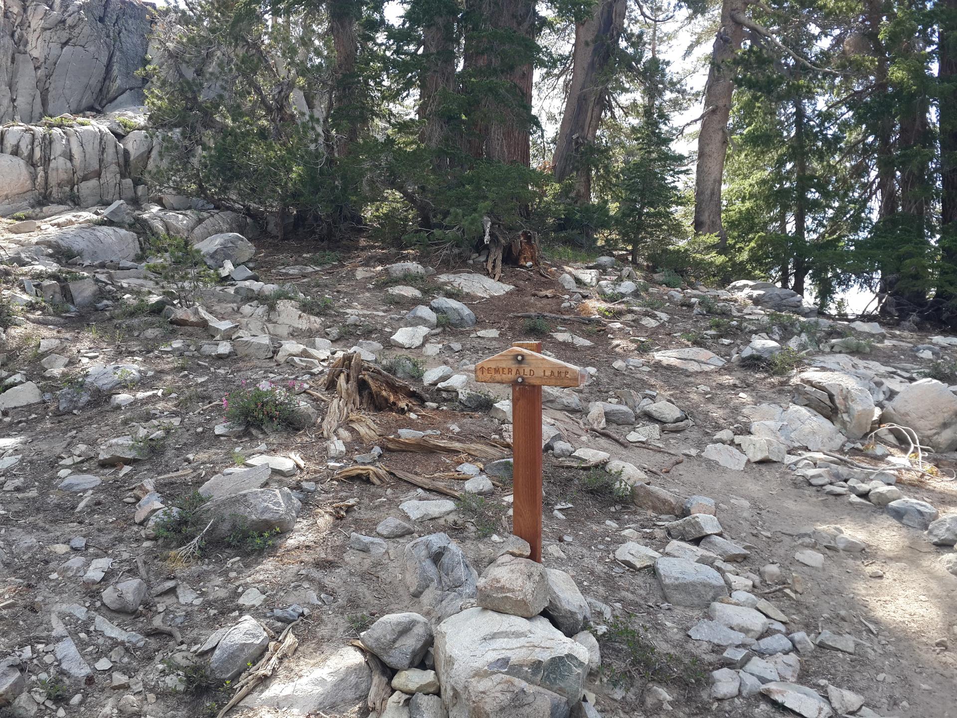 A wooden trail marker on a rocky path surrounded by trees and boulders.