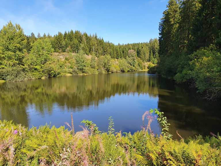 Oberer Spiegeltaler Teich Routes for Walking and Hiking Komoot
