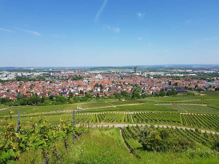 WeinbergPanorama MountainbikeTouren und Trails komoot