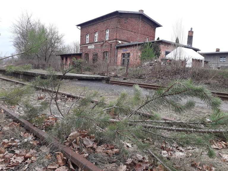 Historische Heidekrautbahn Wanderungen und Rundwege komoot