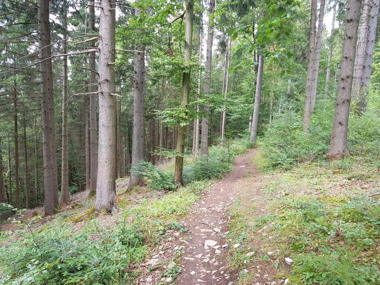 Neuer Albtraufweg - Single Trail Mountain Bike Trails & Tracks | Komoot