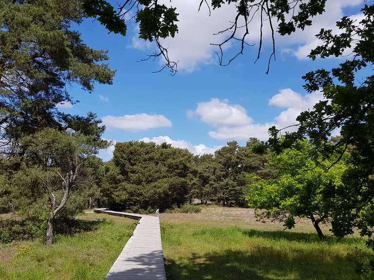 steg-durch-die-schwanheimer-d-ne-wanderungen-und-rundwege-komoot