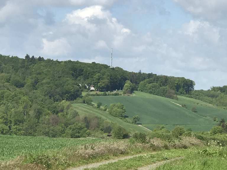 Schöne Aussicht Reinheimer Teich Störche Runde von An der Obermühle