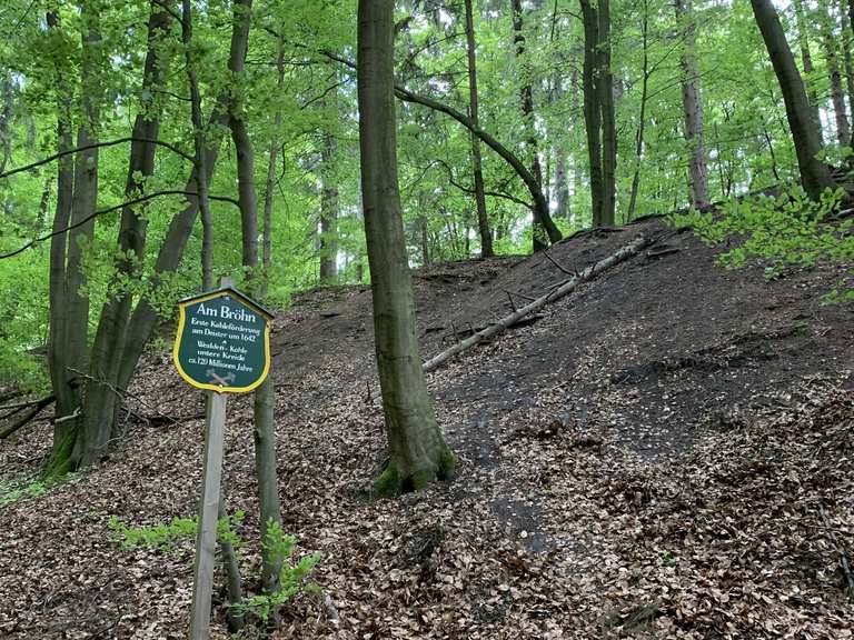 BlankeTeich Wasserräder Wennigsen Runde von Wennigsen (Deister