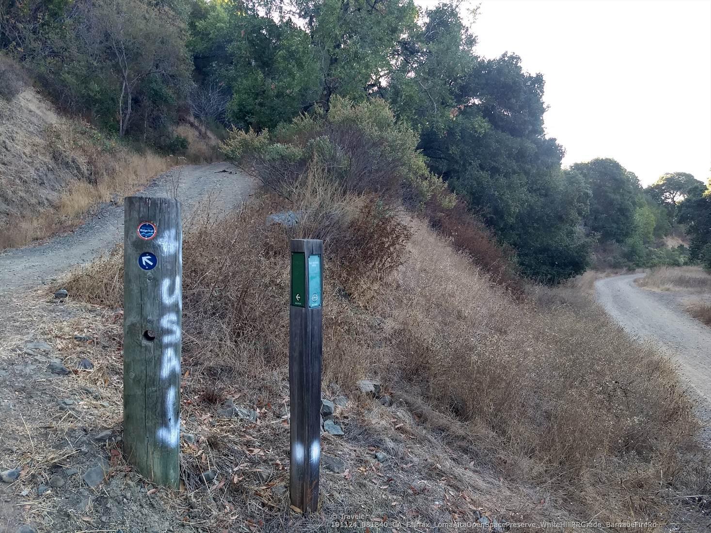 Two wooden trail markers at a fork in a dirt path on a sunny day.