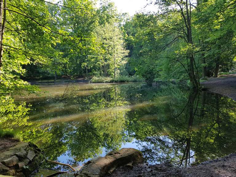 Fuchsberg Teufelsbrücken Runde von Yorckgebiet Wanderung Komoot