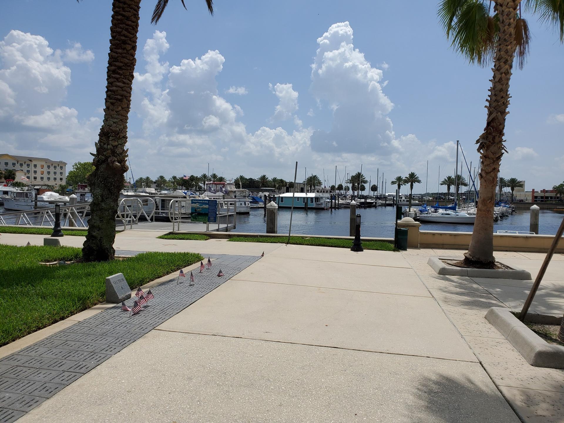 Bright marina scene with boats docked, palm trees, and a paved path.
