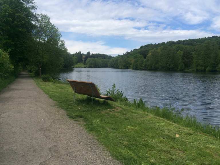 Niederwürzbacher Weiher Würzbacher Weiher Runde von Sulzbach (Saar