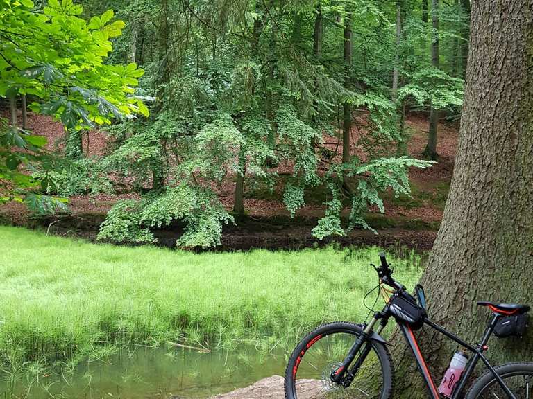 BlankeTeich MountainbikeTouren und Trails komoot