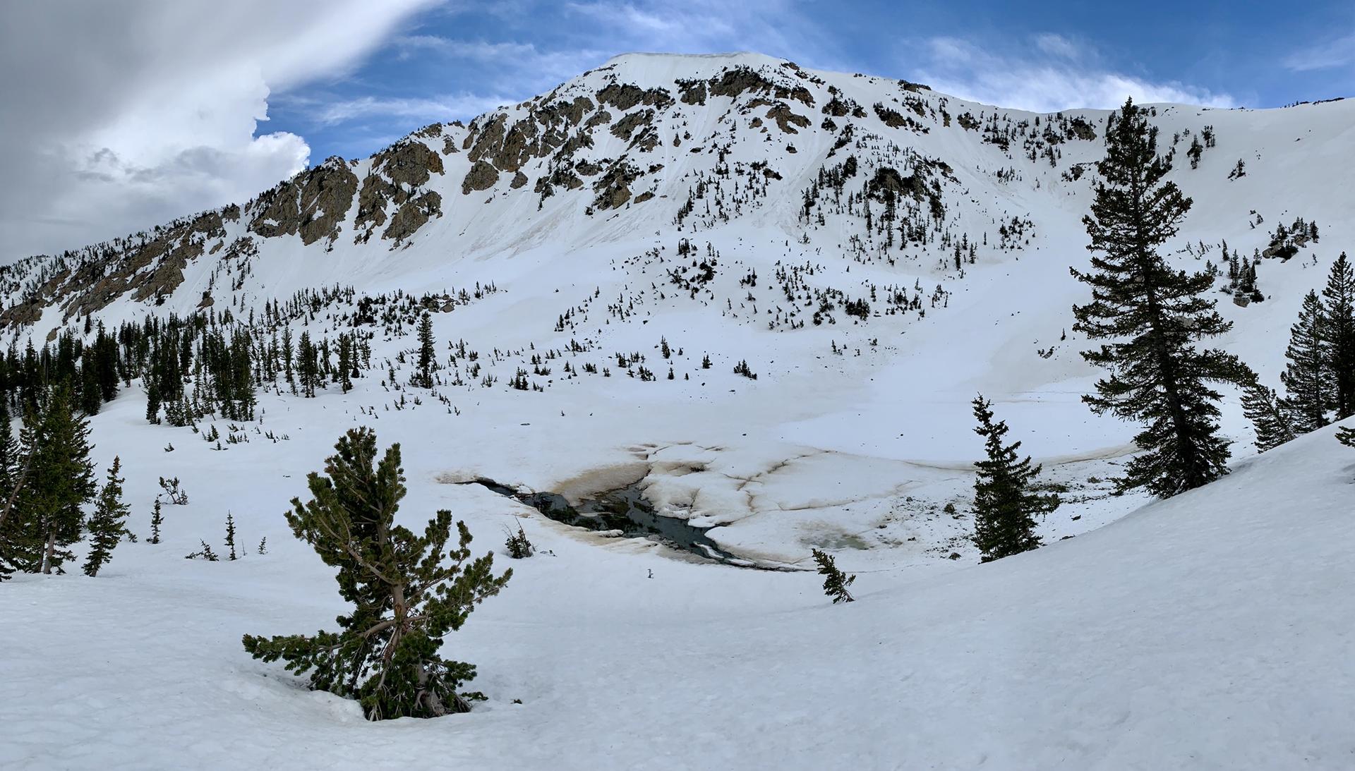 Snow-covered mountain with pine trees and a partially frozen stream under cloudy skies.