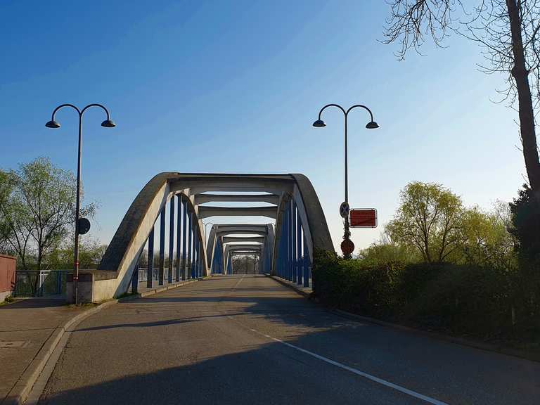 Neckarbrücke Mannheim – Seckenheim/Ilvesheim ?‍♂️: Rennradfahren und ...
