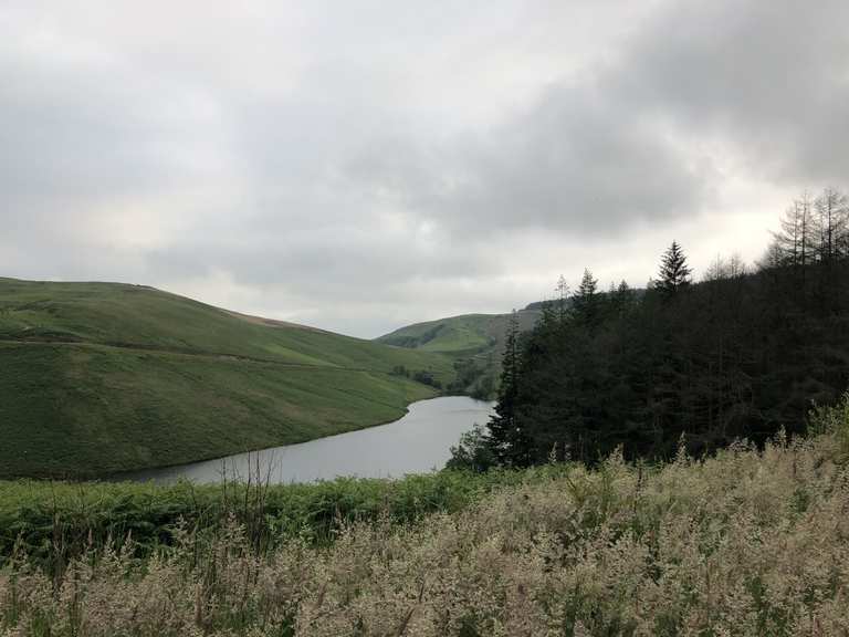 Llyn Brianne - Mountain Bike Trails & Tracks | Komoot