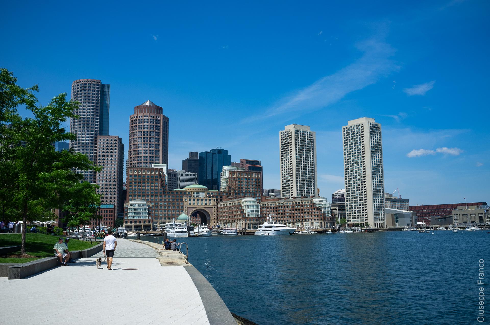 City skyline with tall buildings along a waterfront, person walking a dog.