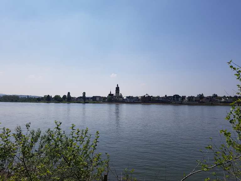 Urbar Gretchens Garten Rheinland Pfalz Deutschland Radtouren