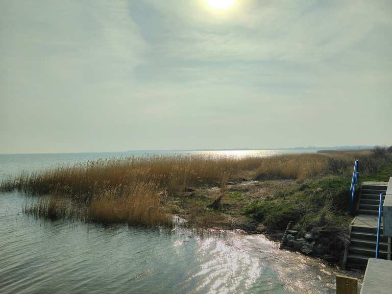 nationalpark vorpommersche boddenlandschaft fahrrad