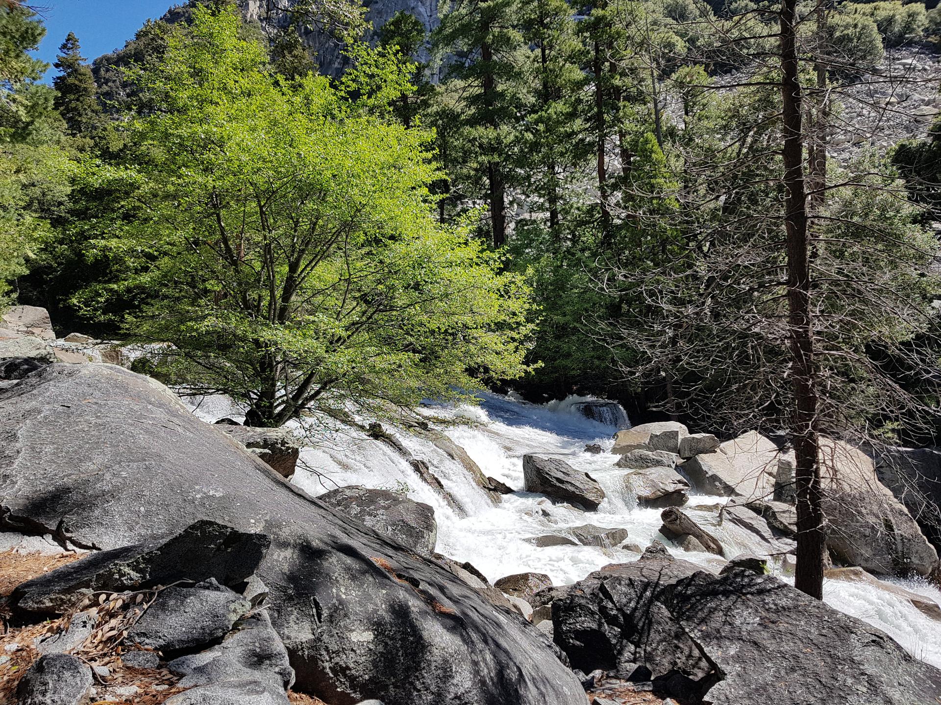 Rushing river cascades over large rocks in a sunlit forest.