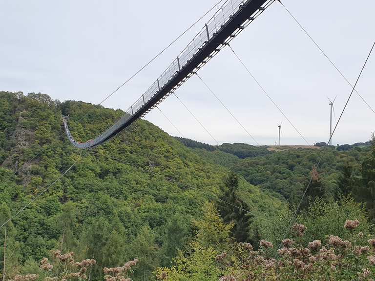 Geierlayschleife: Wanderungen und Rundwege | komoot