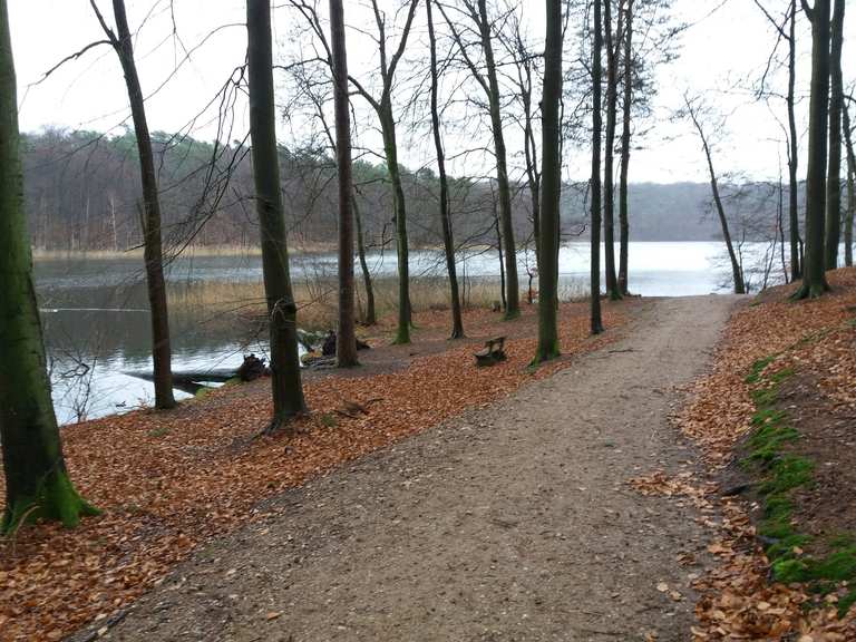Lütauer See Wanderungen und Rundwege komoot