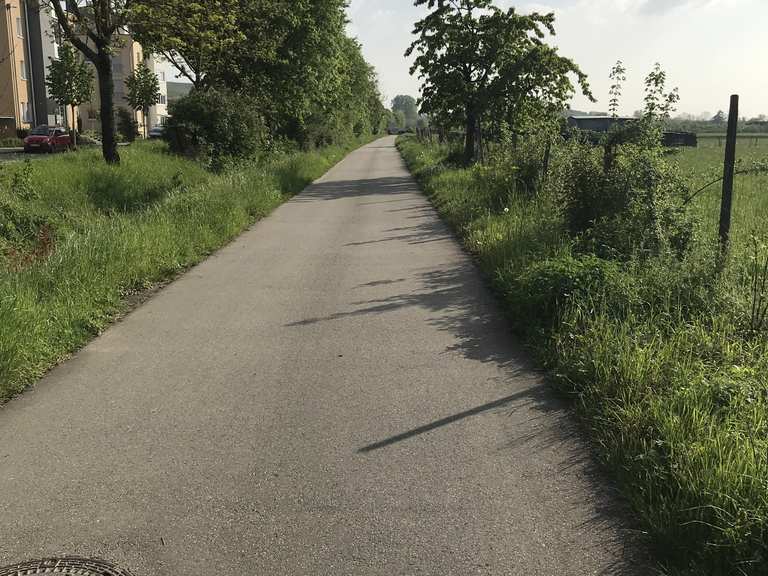 Rhein Radweg Breisach am Rhein Runde von Freiburg