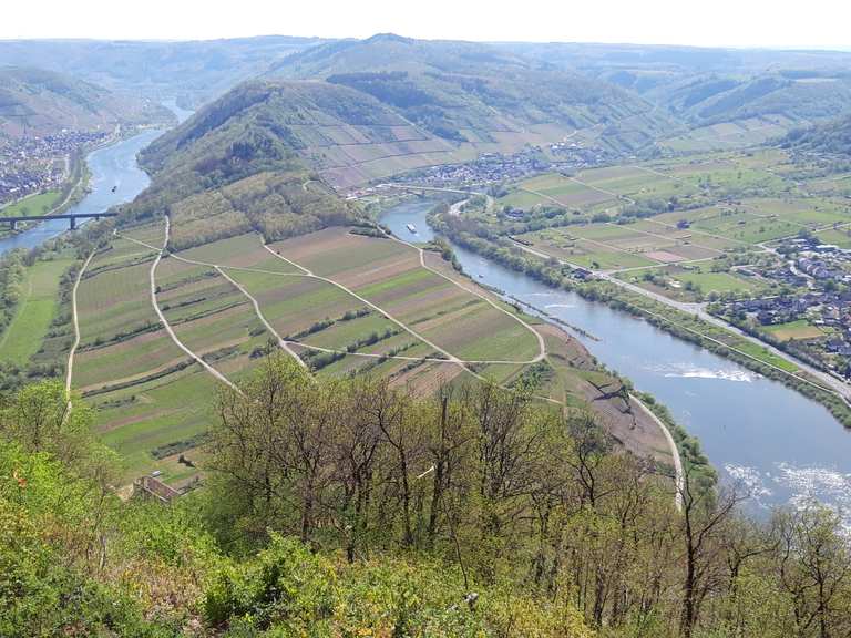 Calmont Gipfel Bremm, CochemZell Wandertipps & Fotos Komoot