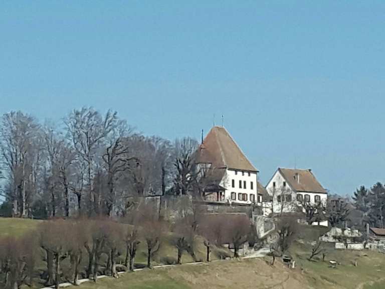 Schloss Burgistein Wanderungen und Rundwege komoot