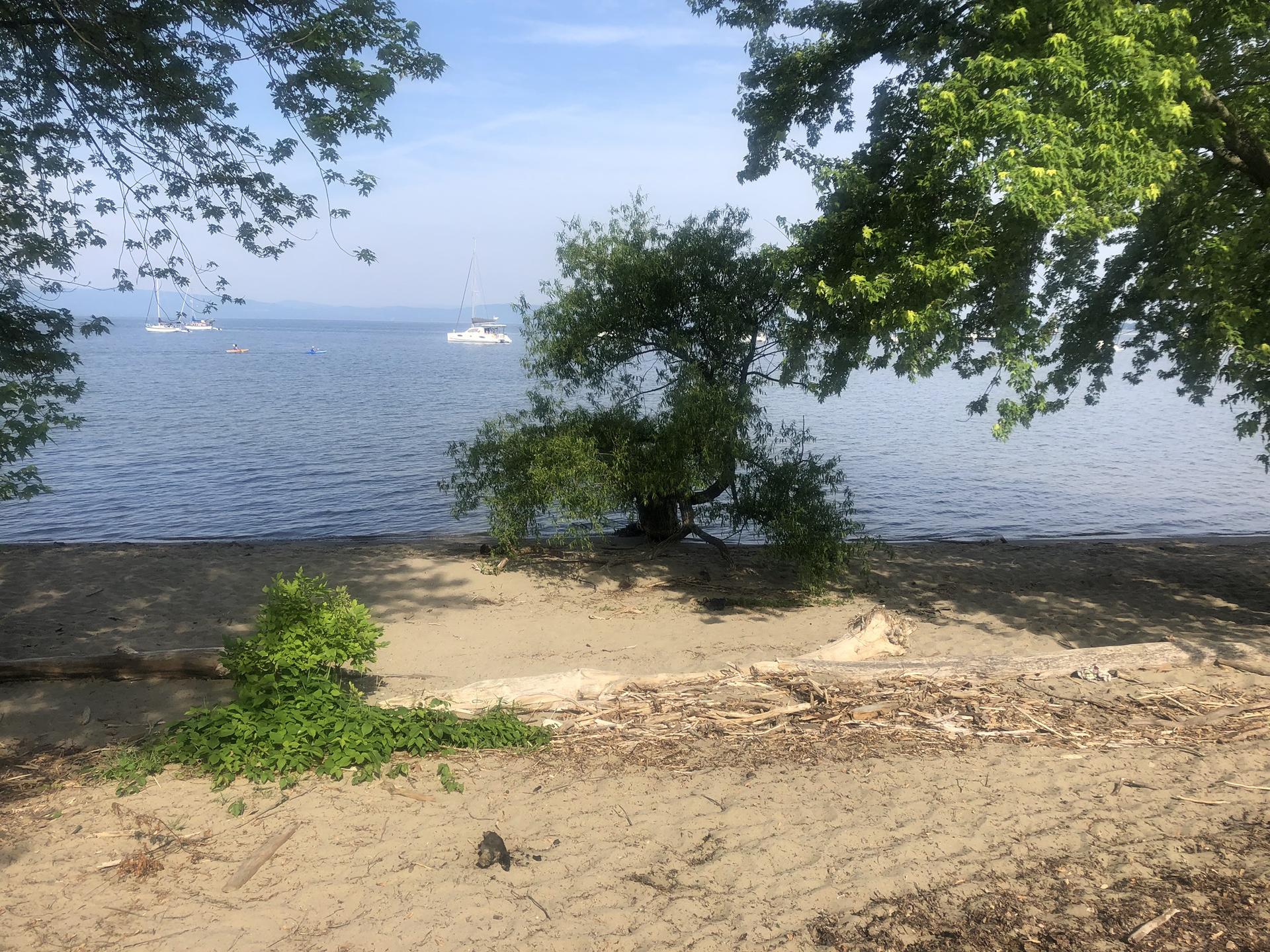 A sunny beach with calm water, distant boats, and lush green trees.