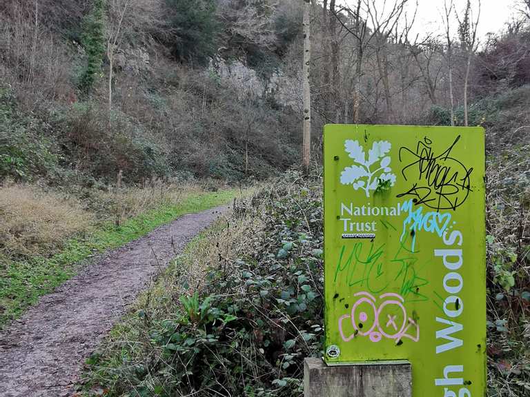 Leigh Woods Nature Reserve - Long Ashton, South West ...