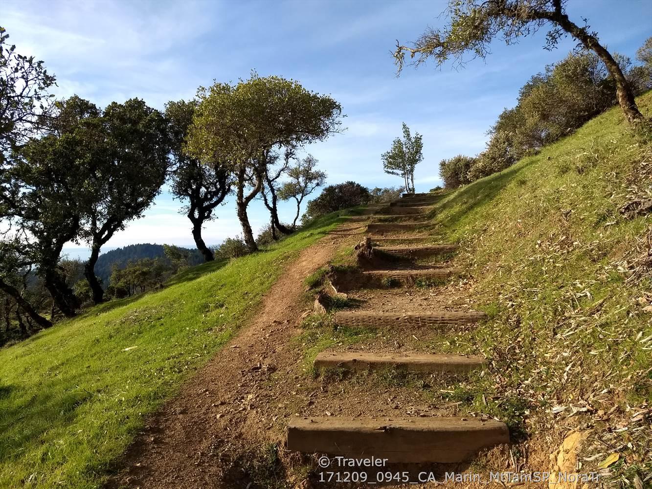 Wooden steps and a dirt path ascend a green hillside with scattered trees.
