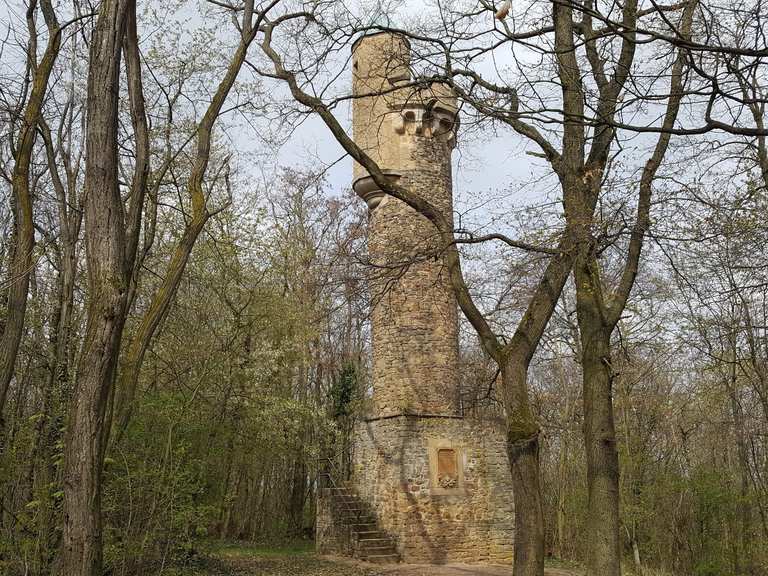 Lonsheimer Turm - Lonsheim, Alzey-Worms | Hiking Tips & Photos | Komoot