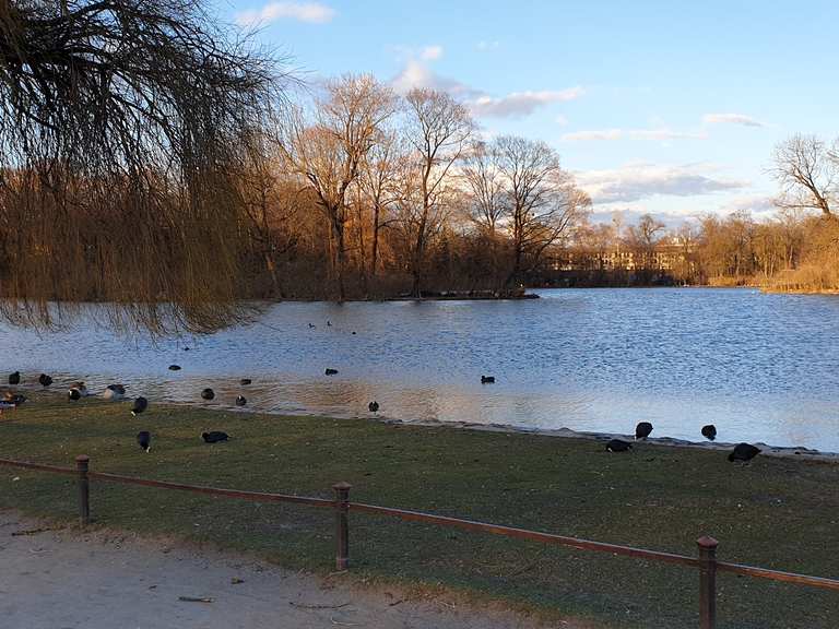 Englischer Garten, München Oberbayern, Bayern Lauf