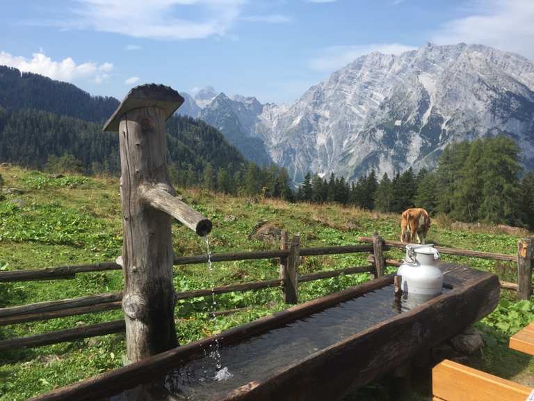 Priesbergalm Wanderungen und Rundwege komoot