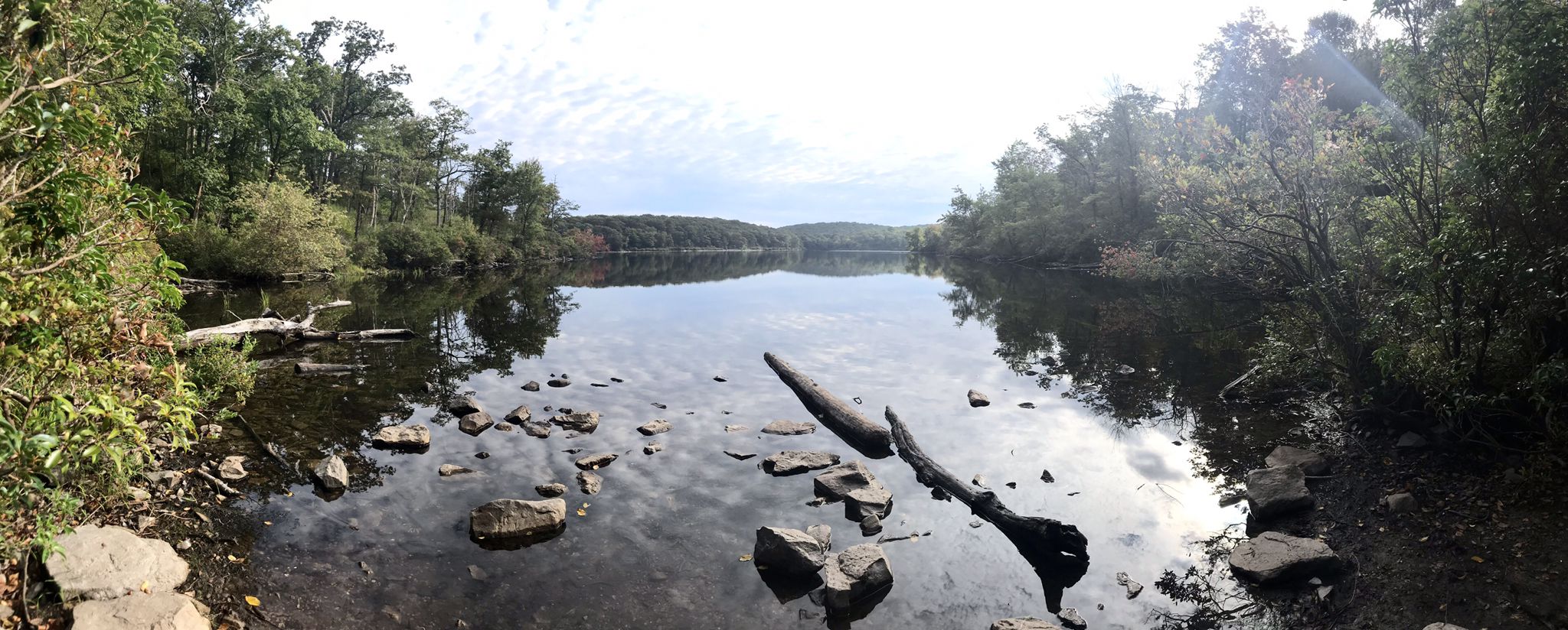 Panoramic view of a wide, calm lake with rocks and logs in water. - Garvey Springs and Douglas Trail Loop