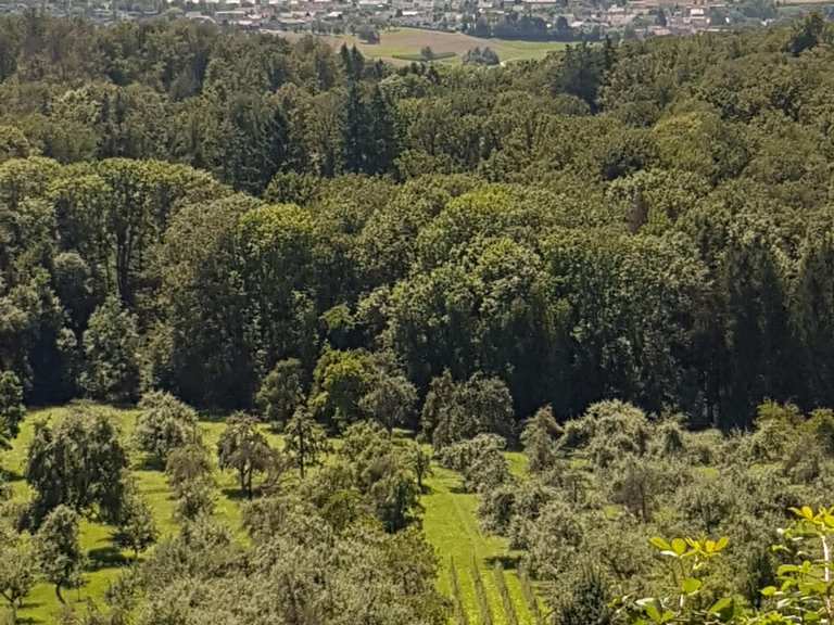 7 Eichen Biergarten und Gastwirtschaft Radtouren und