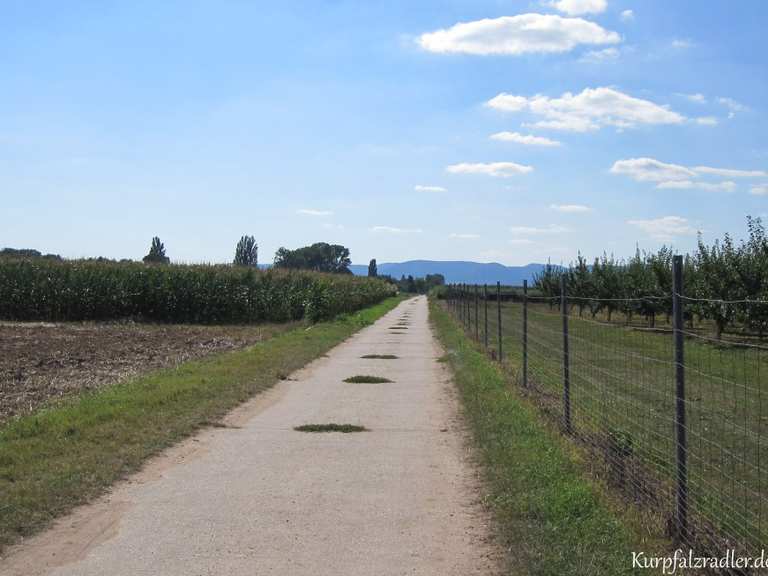 Kraut- und Rübenweg Abschnitt - fietsroutes en kaart | Komoot