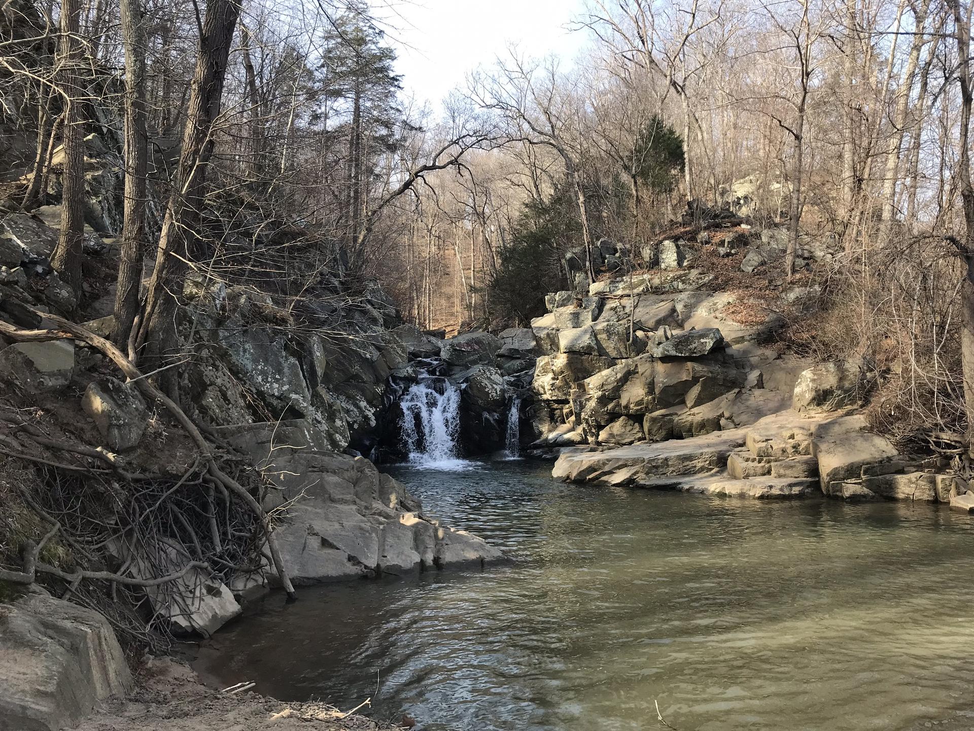 Waterfall cascading into a rocky pool, surrounded by bare trees, sunny.