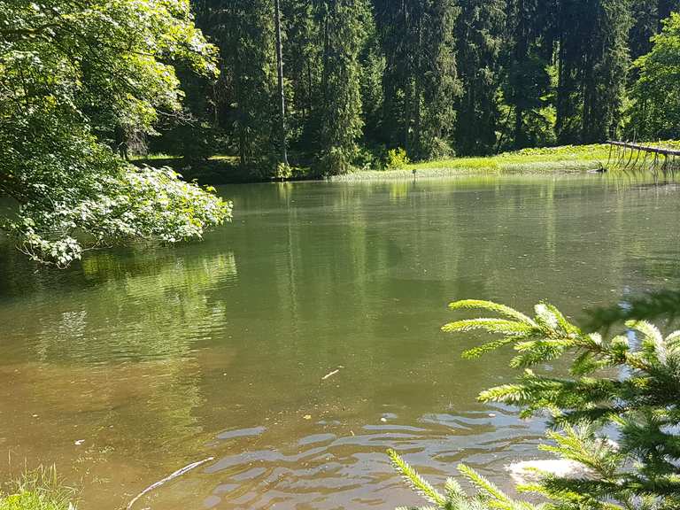 Knöpfelstaler Teich Wanderungen und Rundwege komoot