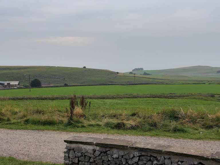 parsley hay cycle centre