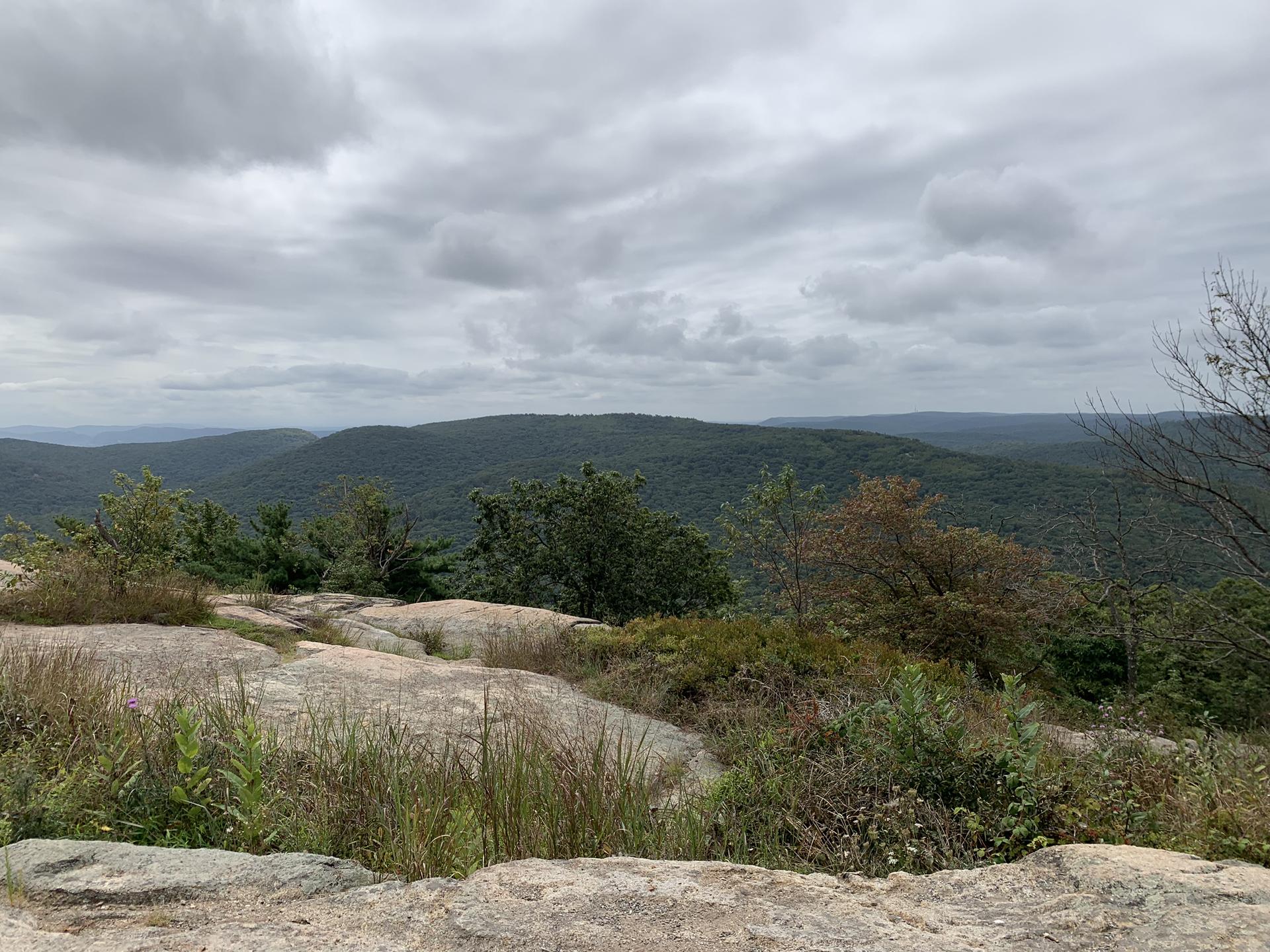 Overcast view of rolling green hills and forests from a rocky, grassy overlook.