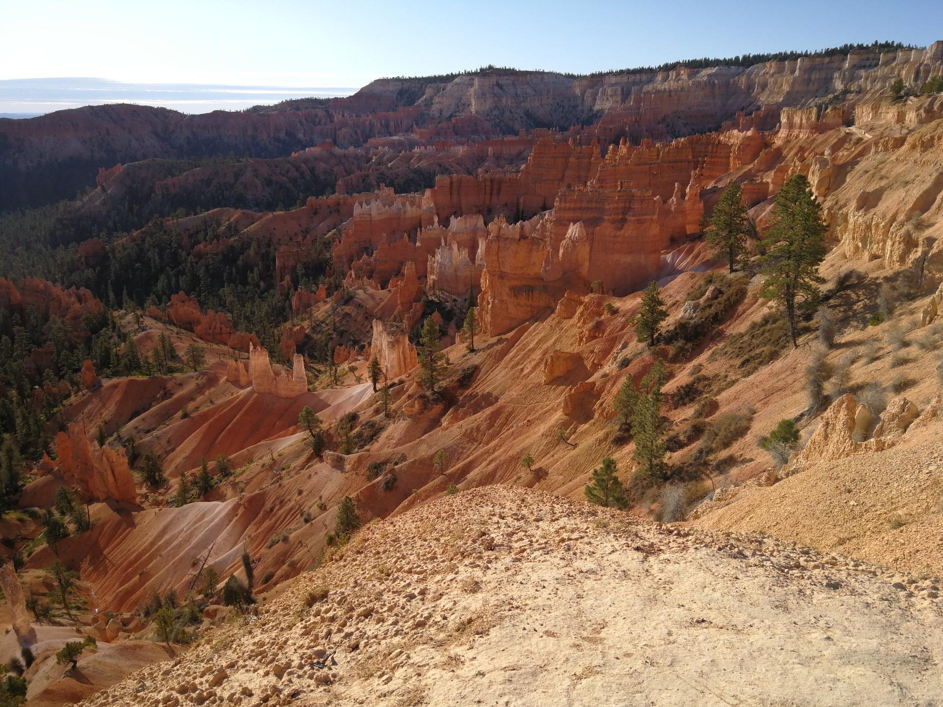 Deep canyon with red rock hoodoos and scattered green pine trees.