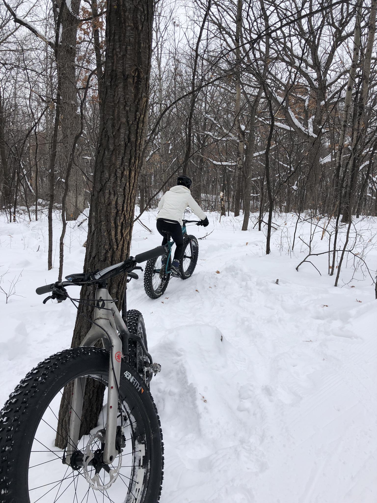 Person fat-tire biking on a snowy forest trail under overcast skies.
