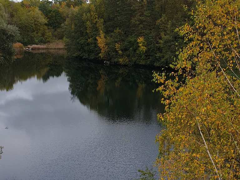 Oberwaldsee: Wanderungen und Rundwege | komoot