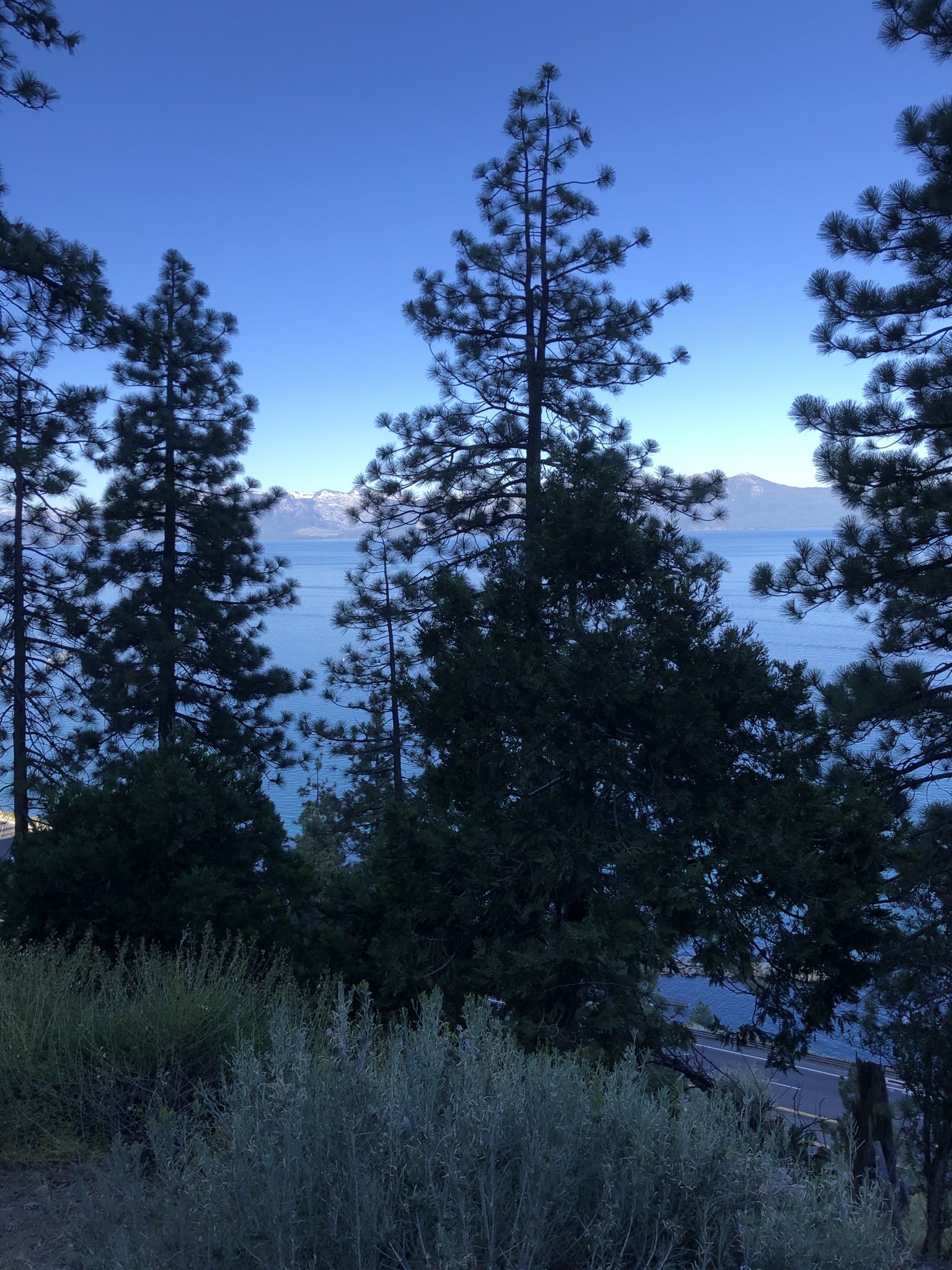 Tall pine trees frame a blue lake and distant mountains under a twilight sky. - Cave Rock Overlook