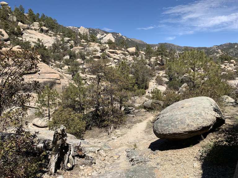 Wilderness of shop rocks trail