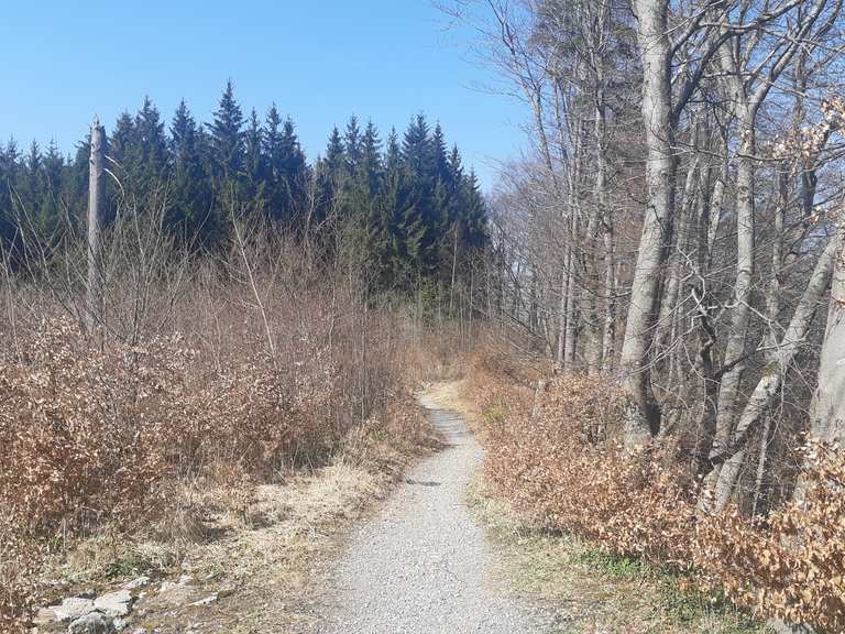Höhenweg Heitersberg Wanderungen und Rundwege komoot