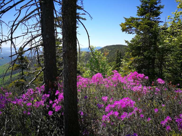 Mount Chocorua loop via Piper, Liberty, and Weetamoo Trails — Mount ...