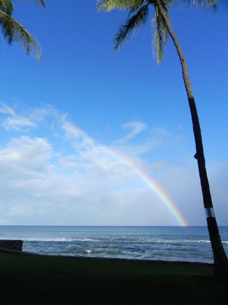 Vibrant rainbow arches over a blue ocean with palm trees.