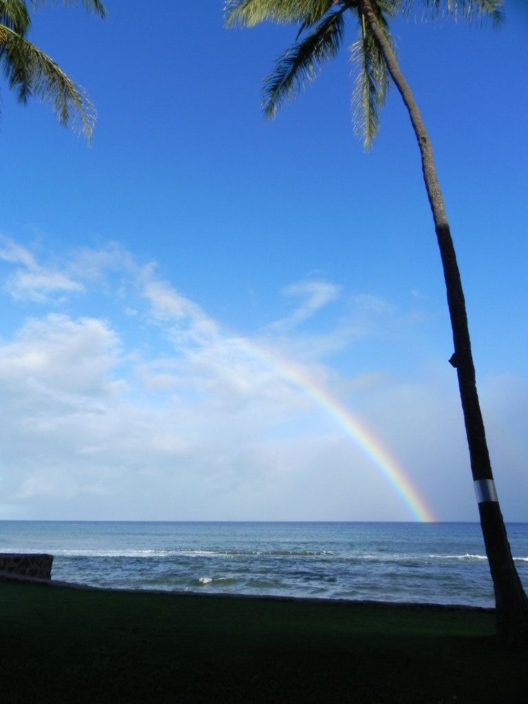 Vibrant rainbow arches over a blue ocean with palm trees. - Kaanapali Beach Path