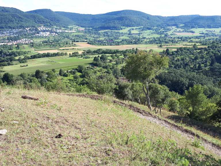 Aussichtspunkt Georgenberg: Wanderungen und Rundwege | komoot